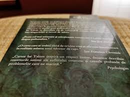 Iveveria lui josef breuer fu întreruptă de dangătul armonios al clopotelor de la san salvatore. Plansul Lui Nietzsche Recenzie