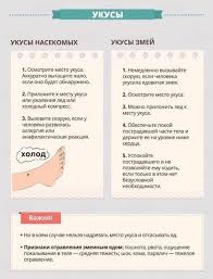 pervaya pomosh pri ukusah zdorove pervaya pomosh medicinskij