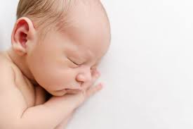 Alison Winterroth Photography