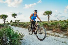 Cabins may be rented at the concession facility, along with canoes. Experiences Amenities Florida State Parks