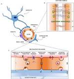 Image result