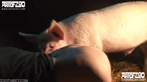 Sweet female opens her pussy and receives a cunnilingus by pig