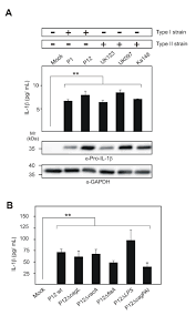 Ask the site technician to check if there are lights on the ap and to track the one check worth doing is making sure your wireless router is set to never drop its internet connection; Cancers Free Full Text Helicobacter Pylori Avoids The Critical Activation Of Nlrp3 Inflammasome Mediated Production Of Oncogenic Mature Il 1b In Human Immune Cells Html