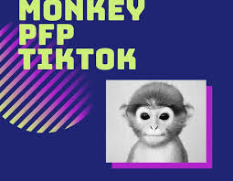 Tiktok users are also able to add frame transition and movement effects. Monkey Pfp Tiktok What Is It Pedophile Monkey Meme Explained Ava S