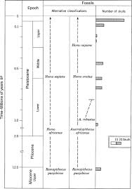 A Chart Of Hominin Evolution From A Major Textbook From 1966