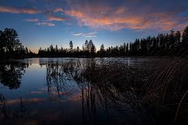 Cheney is a city in spokane county, washington, united states. Turnbull Wildlife Refuge Cheney Washington Nspire Magazine