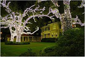 Find many great new & used options and get the best deals for acclaim lighting st. Pin On Lighting Sculpture Art