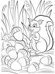 Acorn coloring page that you can customize and print for kids. Squirrel With Acorn Coloring Page 1001coloring Com
