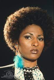 Pam Grier Tough Independent Stylish And Forever Fabulous That Is All Ok That S Not All Not Onl Natural Hair Styles Black Actresses Beautiful Black Women
