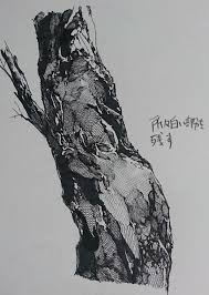 佐藤夕子 on twitter forest drawing cool drawings art drawings sketches creative