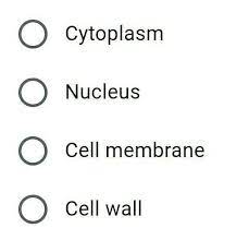 We did not find results for: Which Of The Following Is Absent In An Animal Cell Brainly In