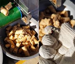 Now regarding your question about green snakes. ì°ë'í