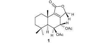 Image result for Schizozygia coffaeoides