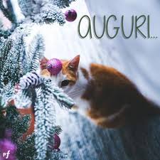 Con una promessa, avete deciso di fare un salto in una nuovo vita. Auguri Di Natale Whatsapp Immagini E Frasi Originali Pourfemme