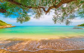 ★ free application that you can download. Wallpaper Sky Sea Sun Tropical Beach Images For Desktop Section Pejzazhi Download