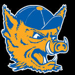 Javelina Basketball Camps