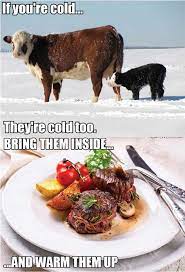 If youre cold theyre cold. Discussing Memes If You Re Cold They Re Cold Too Progressive Cattle