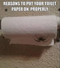 We know which way our pillowcases should face , why tomatoes shouldn't go in the fridge and how to wash our bra in a salad spinner. Life Cheating On Twitter Why It S Important To Put Your Toilet Paper On The Roll The Correct Way Http T Co Xtwhdb3ih9