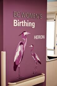 Custom Vinyl Wall And Room Identity Custom Vinyl Signage Hospital Signs