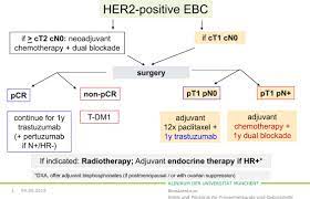 This paper provides an update. Emerging Strategies In Neoadjuvant Treatment Of Patients With Her2 Positive Early Breast Cancer1 The Breast