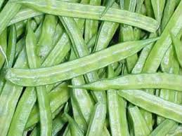 Image result for Cyamopsis