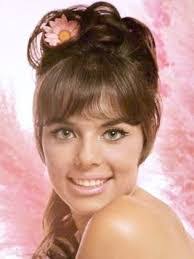 Jo Collins's Instagram, Twitter & Facebook