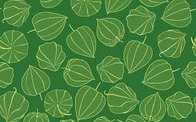We did not find results for: Download Wallpapers Green Physalis Pattern 4k Floral Patterns Decorative Art Green Flowers Physalis Patterns Abstract Physalis Pattern Background With Physalis Floral Textures Physalis Pattern For Desktop Free Pictures For Desktop Free