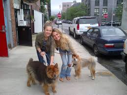Petco's welcome to the family new pet parent starter guide provides new pet parents substantial benefits with hundreds of dollars worth of. Barc Shelter Home