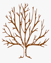 Simple Bare Tree Clipart Image Info Tree Drawing With Branches Hd Png Download Kindpng Make the curve outwards toward the top. simple bare tree clipart image info