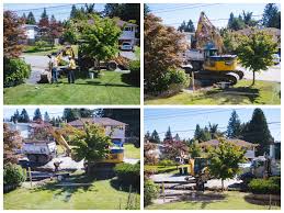 Image result for FOTO FOTO ALAT ALAT KONSTRUKSI & PROPERTI