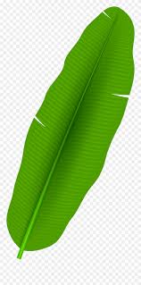 Check out our banana leaf clipart selection for the very best in unique or custom, handmade pieces from our digital shops. Banana Leaves Png Free Template Ppt Premium Download 2020
