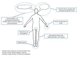 Ved nogle demenssygdomme er arveligheden hyppigere end ved andre. Demens Mere End Hukommelsesbesvaer Alzheimer