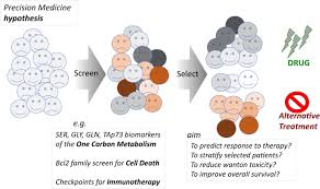 Join cancer council sa in this senior role within the fundraising team, leading and executing cancer council sa's signature events! Cell Death In Cancer In The Era Of Precision Medicine Genes Immunity