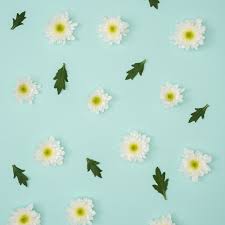 Pastel Ipad Wallpapers Top Free Pastel Ipad Backgrounds Wallpaperaccess Find over 100+ of the best free pastel aesthetic images. pastel ipad wallpapers top free