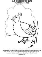 Lord Sends A Quail Coloring Page Bible Crafts Bible Story Crafts Bible Coloring Pages