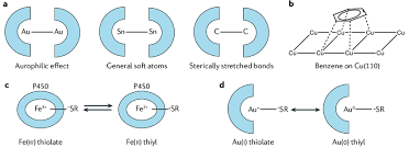 Van der waals forces are the sum of the attractive and repulsive electrical forces between atoms and molecules. Mechanisms By Which Van Der Waals Dispersion Forces Can Modify Download Scientific Diagram
