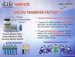Apa itu