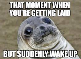 Getting Laid Moment Awkward Moment Seal Know Your Meme