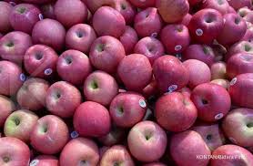 Apel mengandung zat pektin yang dapat menurunkan kadar insullin dalam tubuh dan menjaga kadar gula darah agar tidak mengalami kenaikan. 7 Makanan Ini Efektif Menurunkan Gula Darah Lo