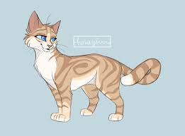 The concept and plot of the pilot series (the. Anime Warrior Cat Fan Art Novocom Top