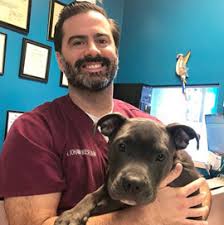 Maybe you would like to learn more about one of these? Animal Hospital Pet Clinic Miami Dade House Call Veterinarian