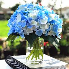 These artificial hydrangeas look pretty good, from a distance the flowers look quite real, the leaves looks a bit more artificial mostly because they are. Blue Cream Artificial Hydrangea Flower Arrangements With Clear Glass Vase Enova Home
