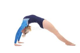 University of bridgeport names lorraine galow head women's gymnastics coach may 3, 2021. Girl Performs Gymnastic Exercises Doing Gymnastics Bridge Stock Image Image Of Isolated Person 131809279