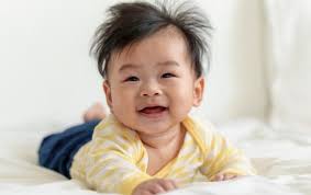 Kids' Theater Review: Book-It Repertory Theatre's "The Lorax & The  Sneetches and Other Stories"