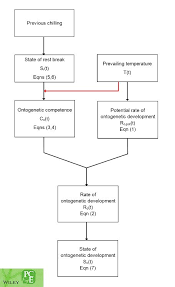 Check spelling or type a new query. Plant Cell Environment On Twitter A Novel Process Based Plant Phenology Model To Study The Interaction Of Physiological And Environmental Factors In Bud Dormancy Release By Lundell Et Al Https T Co 1hjsojczce Https T Co Gom0vicp5s