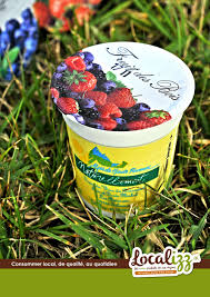 Yaourt Au Fruit Le Buissonet Au Lait Entier Des Alpes Yaourt Aux Fruits Lait Entier Produits