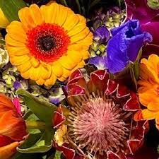 Hours may change under current circumstances Patches Of Iris And Violets Flower Shoppe Home Facebook