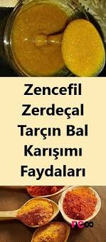 Zencefil Zerdecal Tarcin Bal Karisimi Faydalari 2020 Zerdecal Metabolik Diyet Saglik