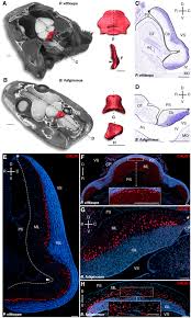 As one of the most established business entities in the country, its excellent reputation has made acquiring a loan much easier. Evo Ix Guage Cluster Mod Overlay Mod Trustz Gauges Evolutionm Mitsubishi Lancer And Lancer Evolution Community I M Looking For One For A Project