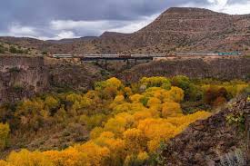 Image result for Autumn Gold Dark 1977 Caloric